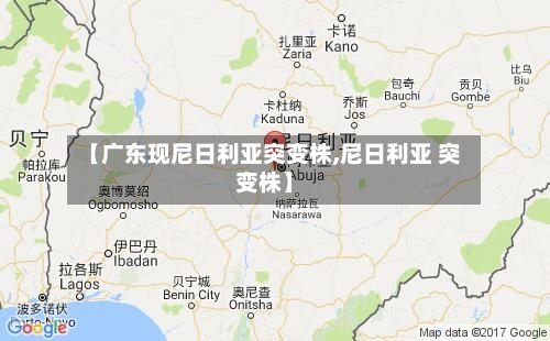 【广东现尼日利亚突变株,尼日利亚 突变株】-第2张图片