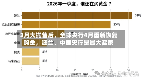 3月大抛售后	，全球央行4月重新恢复购金，波兰、中国央行是最大买家-第3张图片