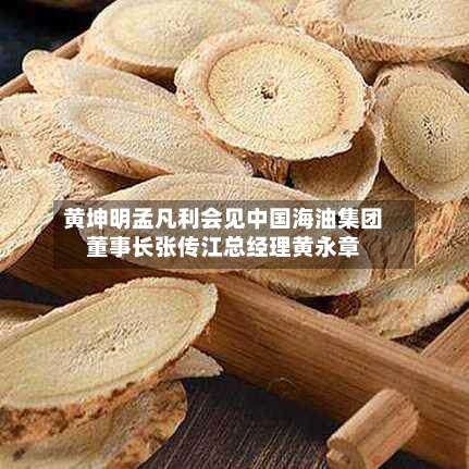 黄坤明孟凡利会见中国海油集团董事长张传江总经理黄永章-第3张图片