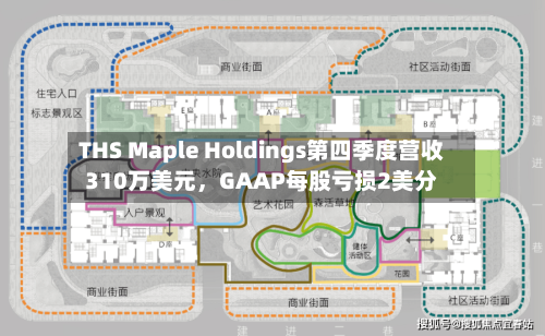 THS Maple Holdings第四季度营收310万美元，GAAP每股亏损2美分-第3张图片