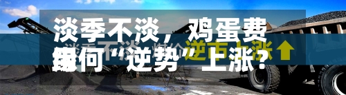 淡季不淡，鸡蛋费用缘何“逆势”上涨？-第3张图片