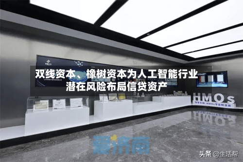 双线资本、橡树资本为人工智能行业潜在风险布局信贷资产-第2张图片