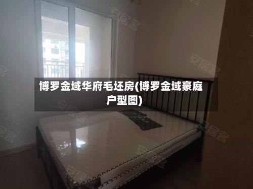 博罗金域华府毛坯房(博罗金域豪庭户型图)