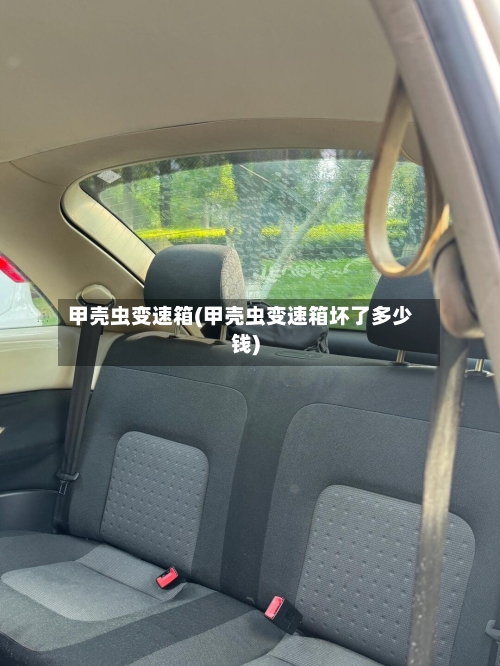 甲壳虫变速箱(甲壳虫变速箱坏了多少钱)-第2张图片