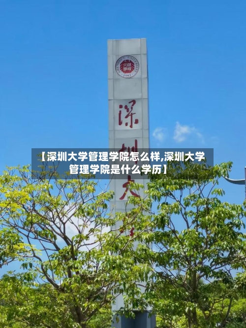 【深圳大学管理学院怎么样,深圳大学管理学院是什么学历】-第3张图片