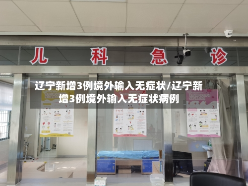 辽宁新增3例境外输入无症状/辽宁新增3例境外输入无症状病例-第2张图片