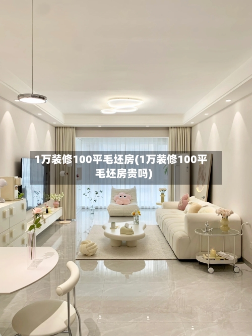 1万装修100平毛坯房(1万装修100平毛坯房贵吗)