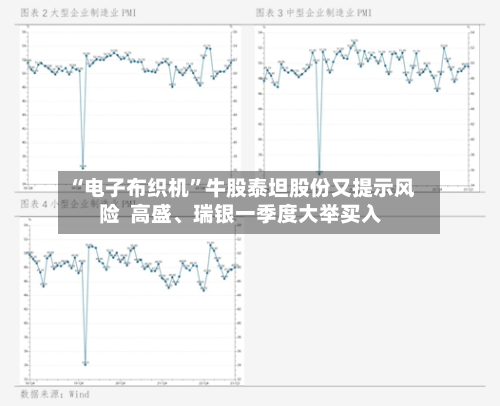 “电子布织机”牛股泰坦股份又提示风险  高盛、瑞银一季度大举买入
