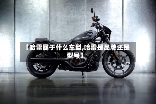 【哈雷属于什么车型,哈雷是品牌还是型号】-第2张图片